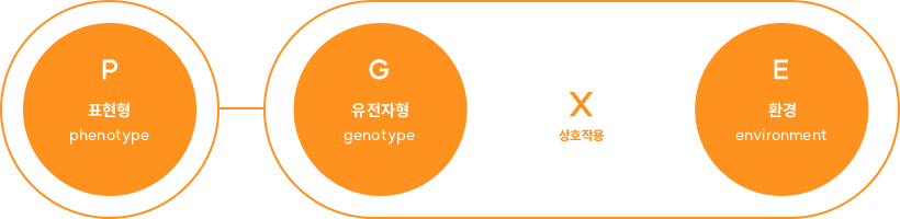 질적형질과 양적형질의 비교